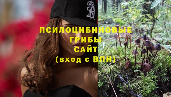 альфа пвп Бугульма