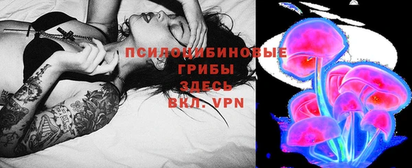 соль ск Бронницы