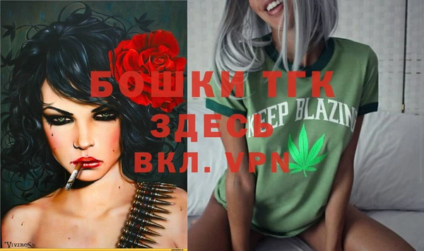 соль ск Бронницы