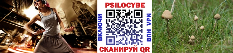 Галлюциногенные грибы ЛСД  блэк спрут сайт  Вяземский  сколько стоит 