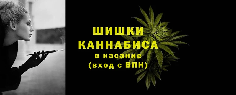 Канабис OG Kush  Вяземский 